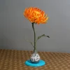Blooming Chrysanthemum lifetime commercial license