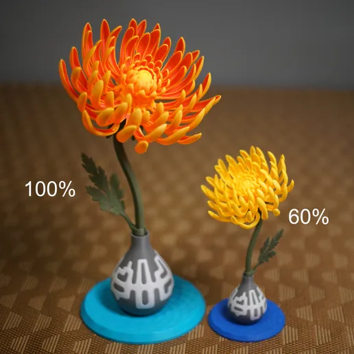 Blooming Chrysanthemum lifetime commercial license