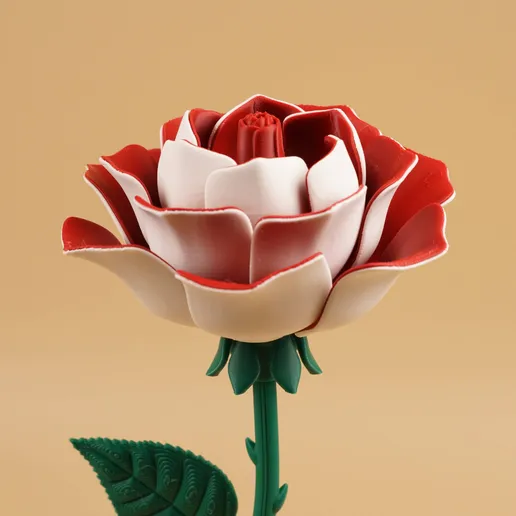 Blooming Rose Ring Box Version lifetime commercial license